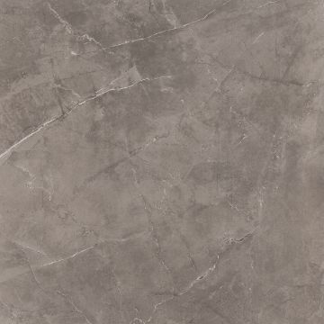 Show details for Premium Grey Polished Tile 80x80 cm Picture of Premium Grey Polished Tile 80x80 cm