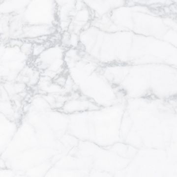 Show details for Carrara Classica Porcelain Tile 60x60 cm Picture of Carrara Classica Porcelain Tile 60x60 cm