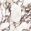 Picture of Calacatta Viola Matt Tile 60x60 cm
