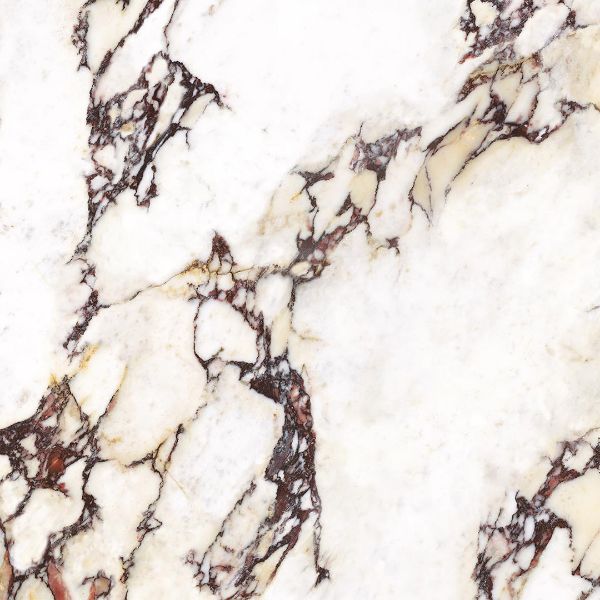 Picture of Calacatta Viola Matt Tile 60x60 cm
