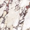 Picture of Calacatta Viola Matt Tile 60x60 cm